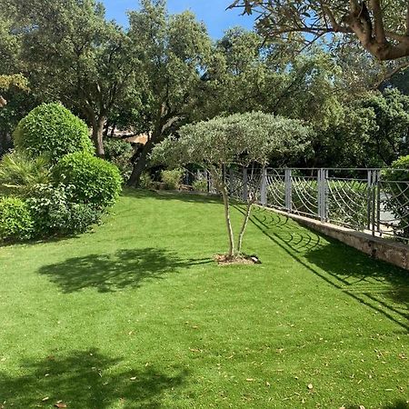 Studio En Rez-De-Jardin Arbore Avec Acces Piscine Et Clim Вильнёв-ле-Авиньон Экстерьер фото