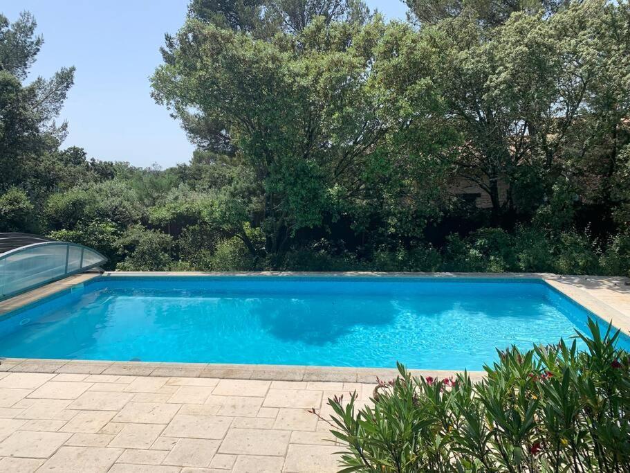 Studio En Rez-De-Jardin Arbore Avec Acces Piscine Et Clim Вильнёв-ле-Авиньон Экстерьер фото