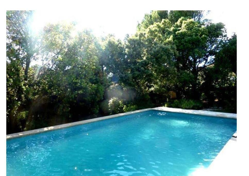 Studio En Rez-De-Jardin Arbore Avec Acces Piscine Et Clim Вильнёв-ле-Авиньон Экстерьер фото
